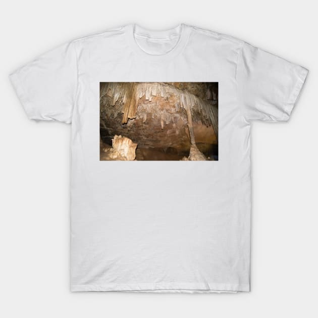 eli caving T-Shirt by pcfyi